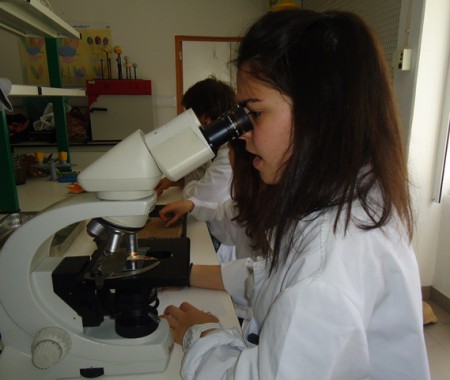 observação de orgãos reprodutores de flor ao microscópio composto