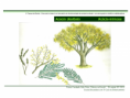/album/ilustra%c3%a7%c3%b5es-flora-/diapositivo23-png1/