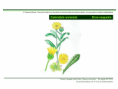 /album/ilustra%c3%a7%c3%b5es-flora-/diapositivo45-png1/