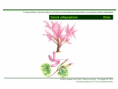 /album/ilustra%c3%a7%c3%b5es-flora-/diapositivo56-png1/