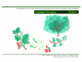 /album/ilustra%c3%a7%c3%b5es-flora-/diapositivo70-png1/