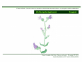 /album/ilustra%c3%a7%c3%b5es-flora-/diapositivo77-png1/