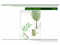/album/ilustra%c3%a7%c3%b5es-flora-/diapositivo96-png1/