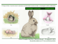 /album/ilustra%c3%a7%c3%b5es-fauna-/diapositivo250-png/