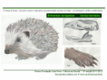 /album/ilustra%c3%a7%c3%b5es-fauna-/diapositivo252-png/