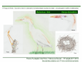/album/ilustra%c3%a7%c3%b5es-fauna-/diapositivo268-png/