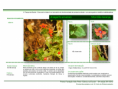 /album/bis-especies-herbaceas/diapositivo26-png/