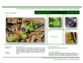 /album/bis-especies-herbaceas/diapositivo27-png/