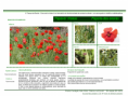 /album/bis-especies-herbaceas/diapositivo158-png/