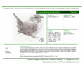 /album/bis-aves/diapositivo259-png/
