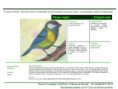 /album/bis-aves/diapositivo261-png/