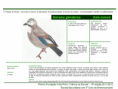 /album/bis-aves/diapositivo263-png/