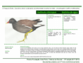 /album/bis-aves/diapositivo265-png/