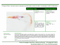 /album/bis-aves/diapositivo267-png/