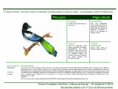 /album/bis-aves/diapositivo277-png/