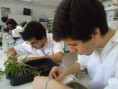 /album/no-laboratorio/dsc04460-jpg/