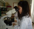/album/no-laboratorio/dsc04463-jpg/